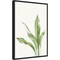 Cast Iron Plant II by and Slyp Errico Canvas Wall Art Print Framed